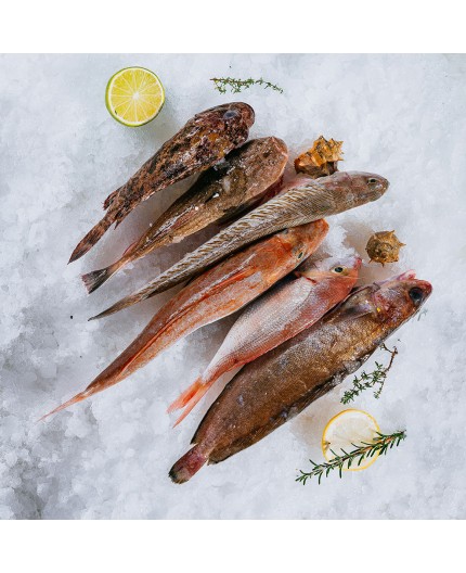 Poissons bouillabaisse Poissons bouillabaisse