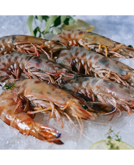 Gambas Gambas