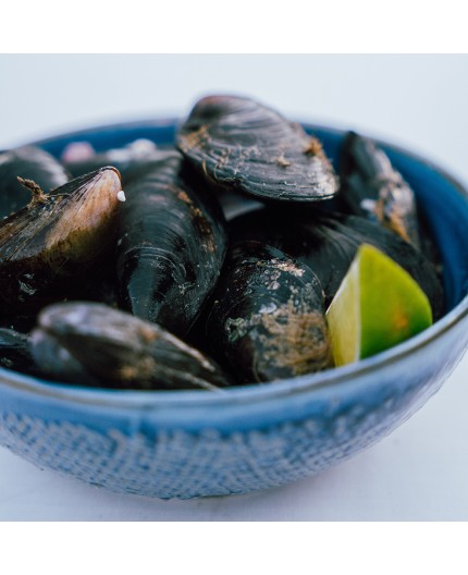 Moules de Camargue Moules de Camargue