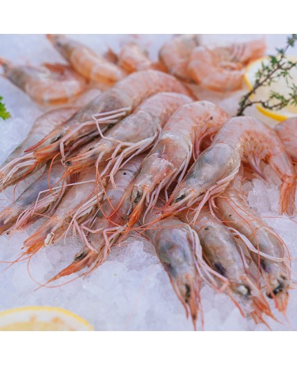 Crevettes Crevettes