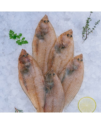 Limande Limande