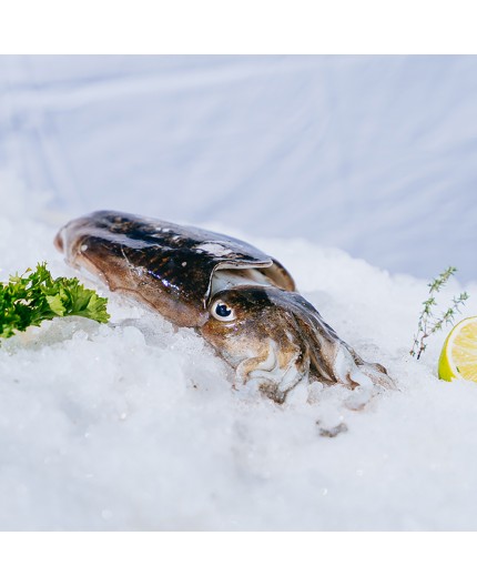 Seiche Seiche