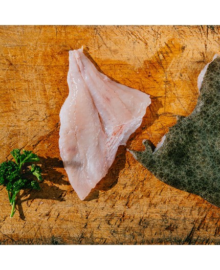 Filets de Turbots Filets de Turbots