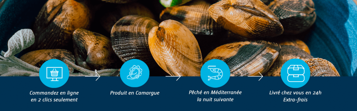 Côté Fish - Coquillages & Crustacés | Poissonnerie en Ligne