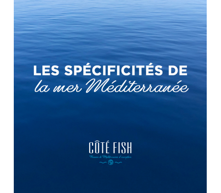 Les spécificités de la mer Méditerranée