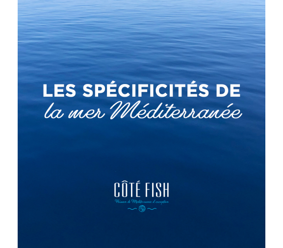 Les spécificités de la mer Méditerranée