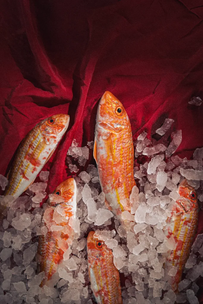 Poissons de Méditerranée présentés sur glace